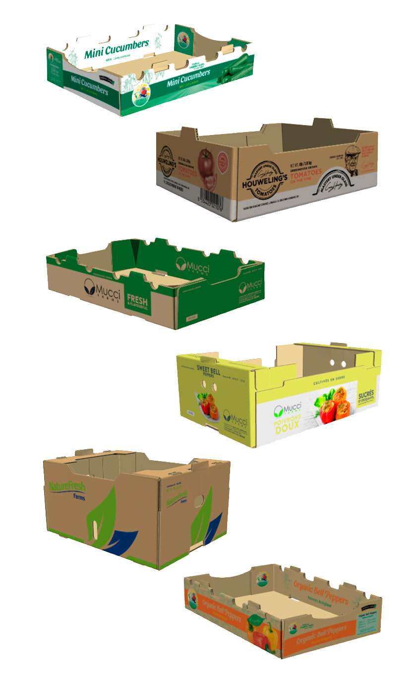 Cajas de carton